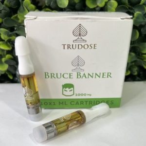 Bruce-Banner-400x400-1.jpg