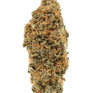 Buy Sour Diesel Strain