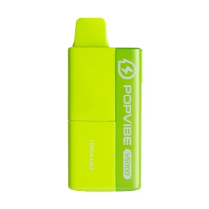 GeekvapePopvibeV5000DisposableVapePod.webp