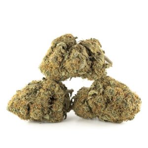 Girl-Scout-Cookies-Saturday-Special-510x510
