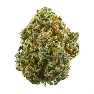indoor-blue-dream-strain-600x600